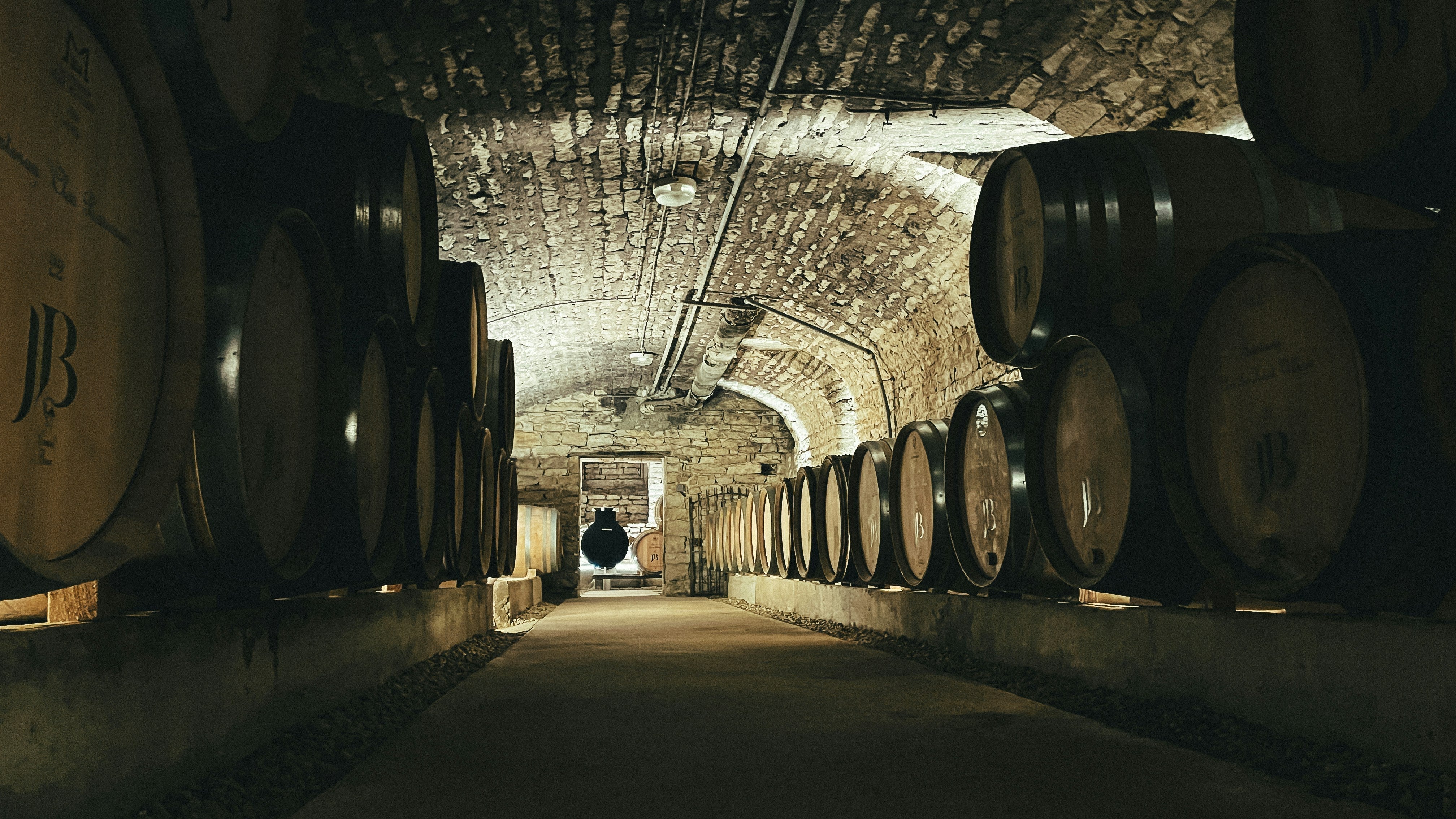 Why Vintage Matters in the Wine World