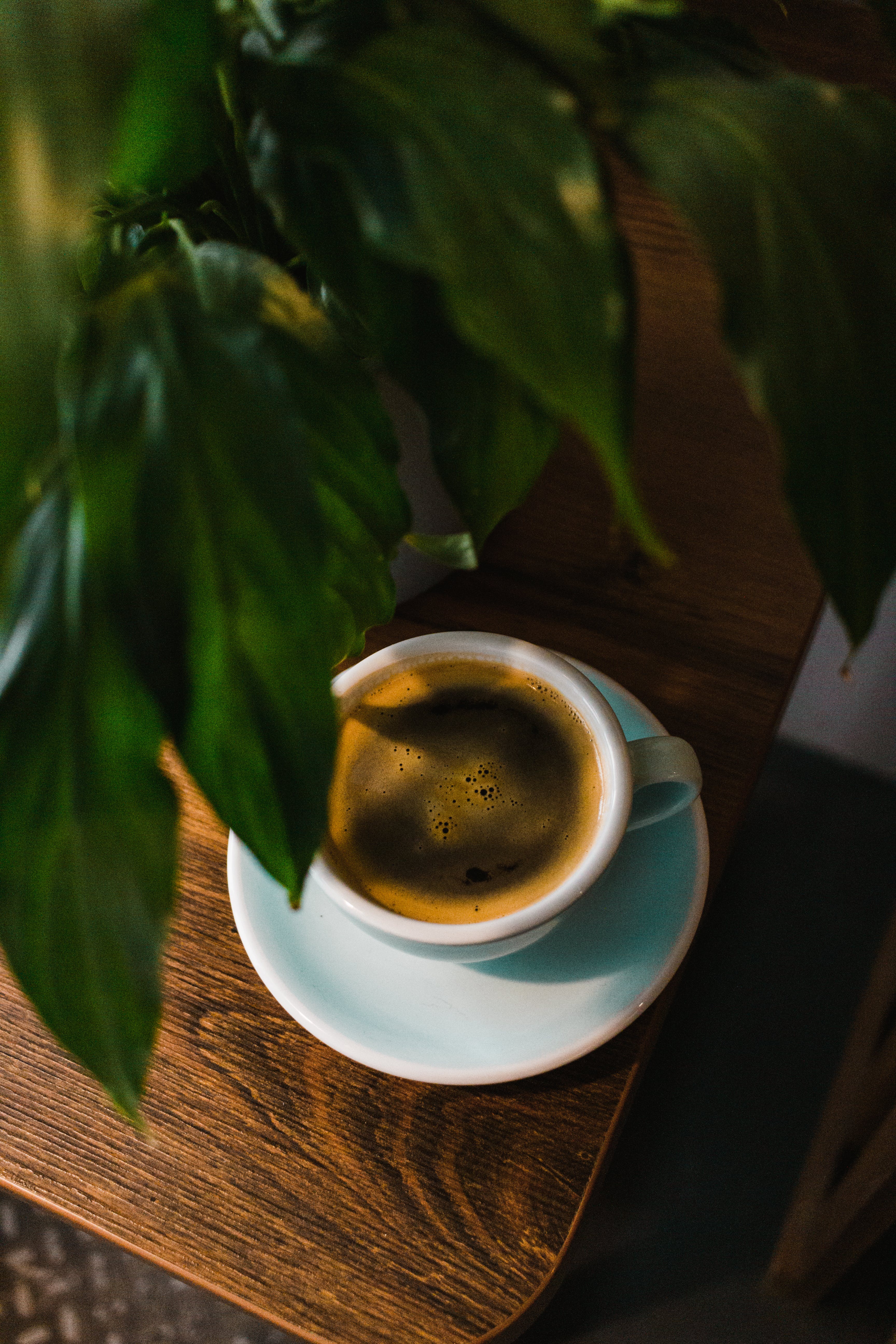 Brewed coffee blends in a white mug on a white saucer sitting on a wooden table next to a green plant.